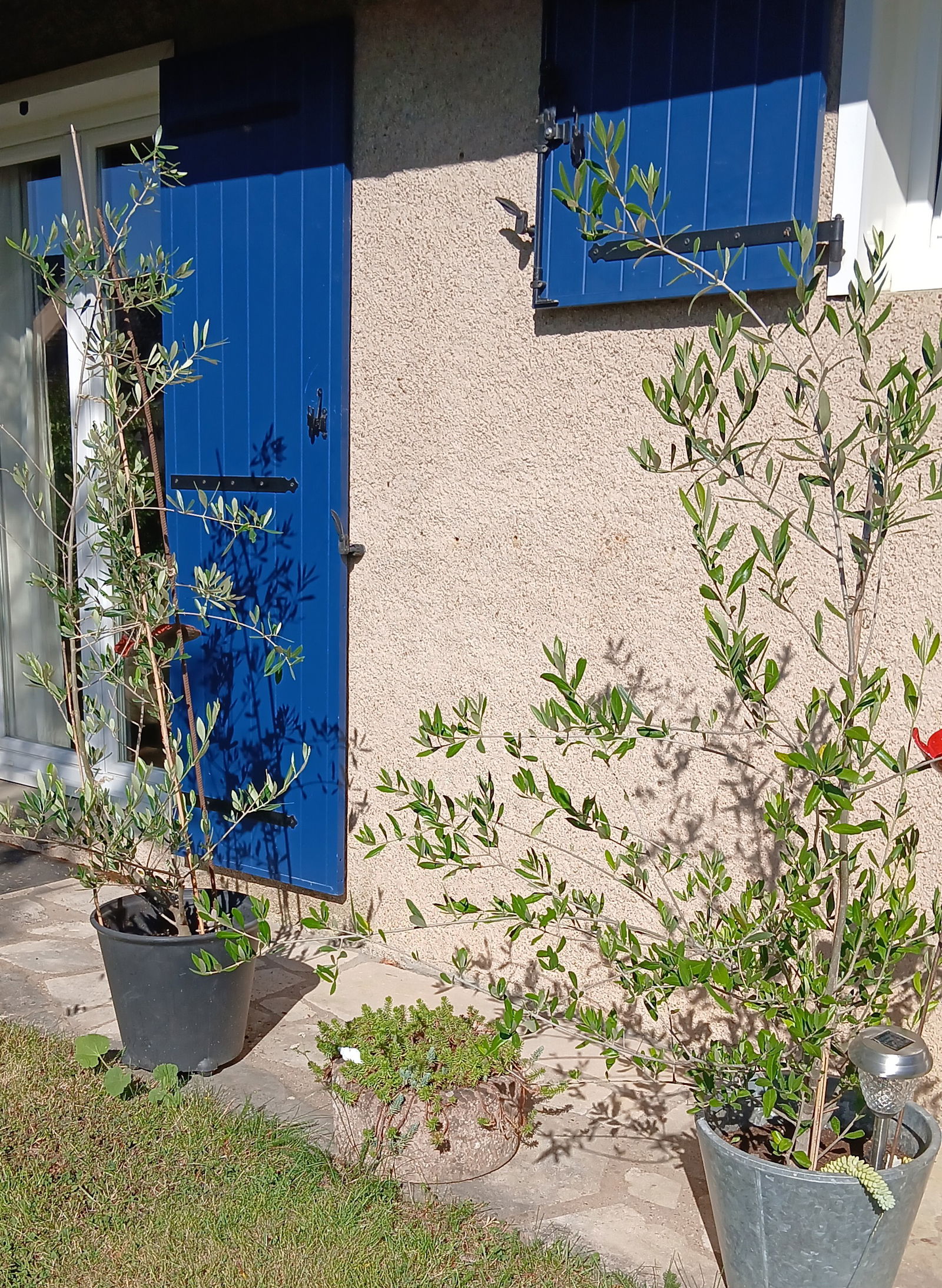 Homestay Retonfey 604831