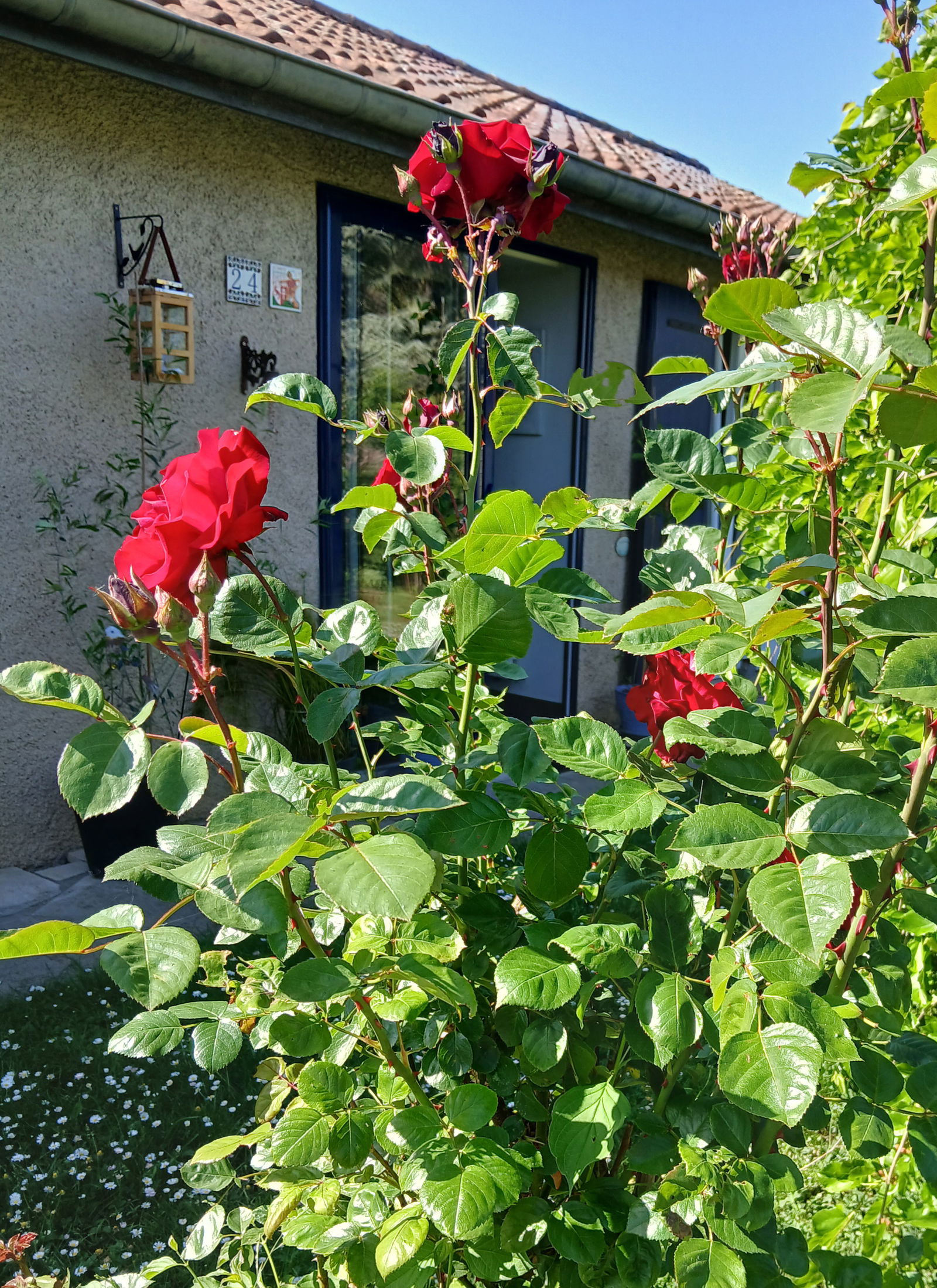 Homestay Retonfey 604831