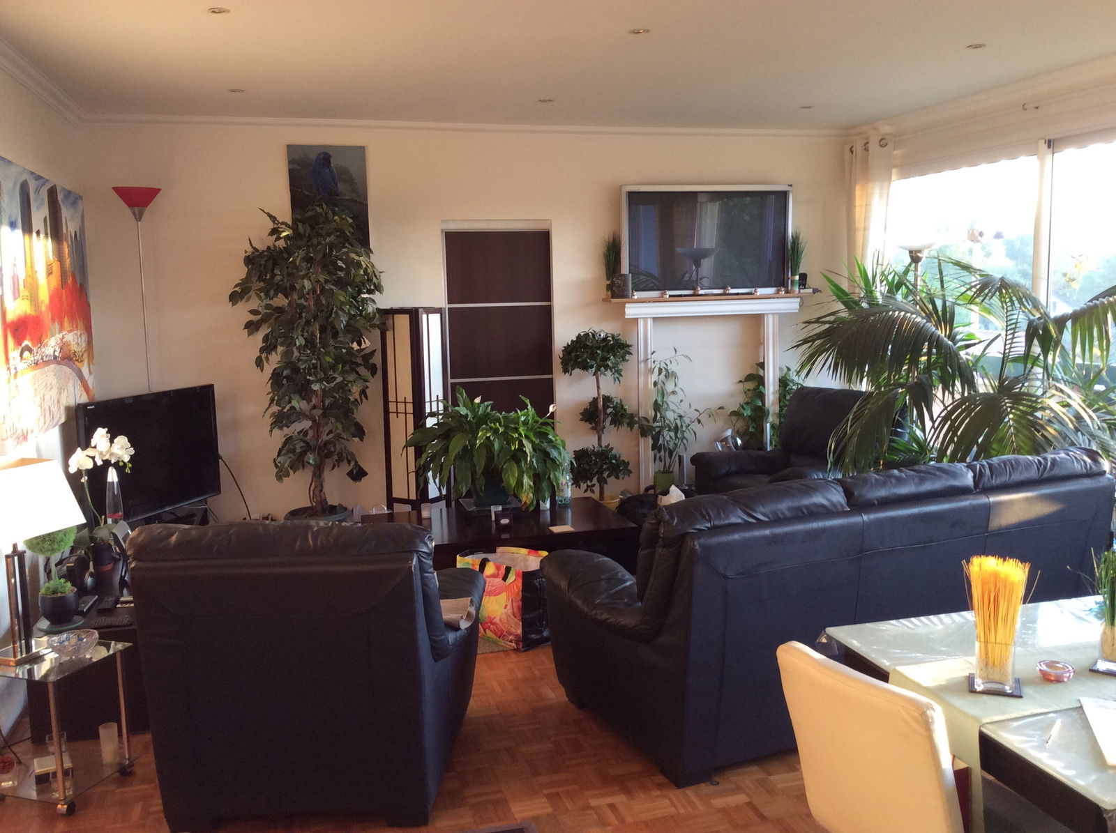 Homestay Chatenay-Malabry 17969