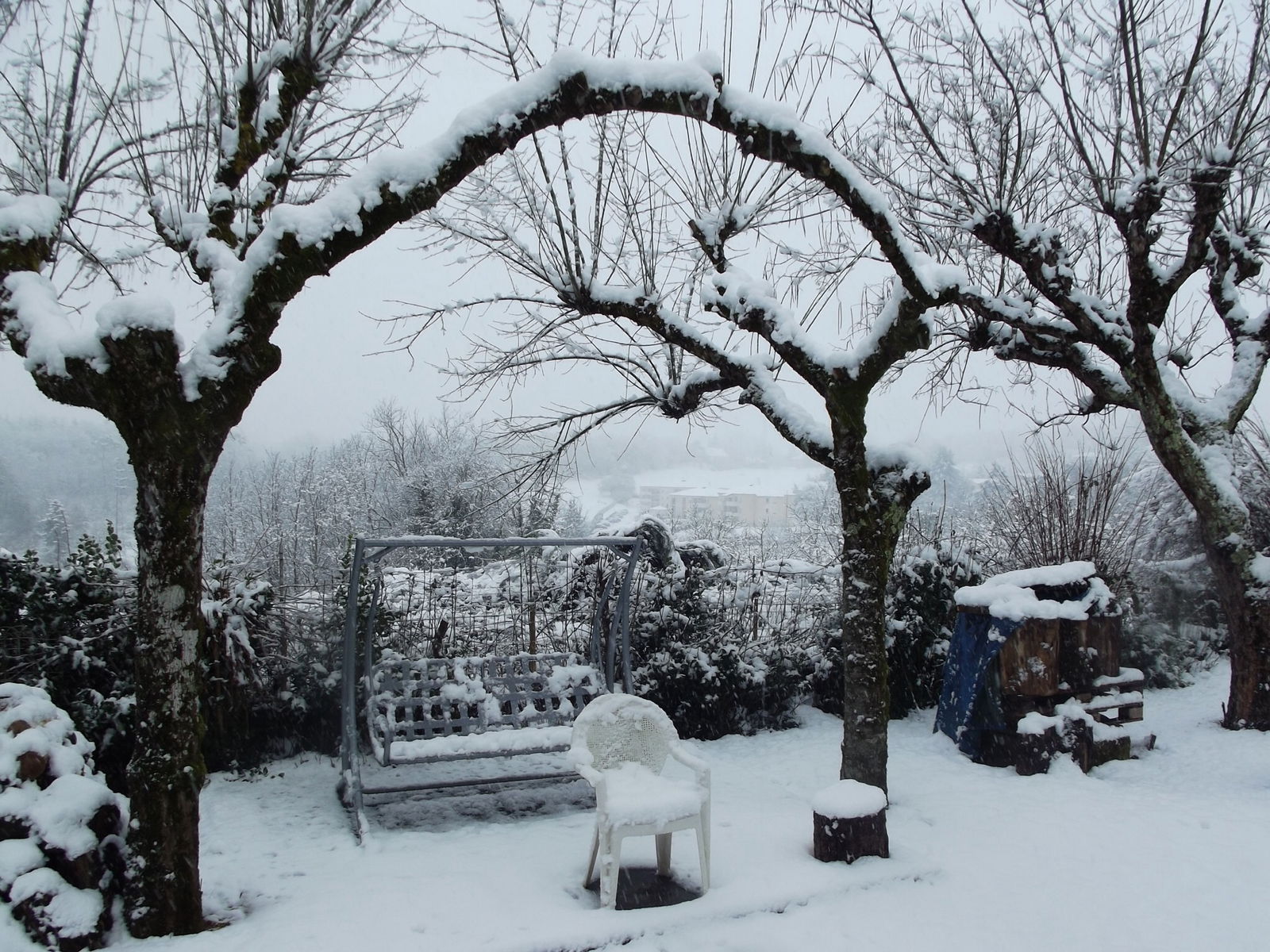 Homestay Sarlat-la-Canéda 37864