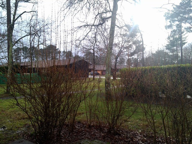 Homestay Martignas-sur-Jalle 39052