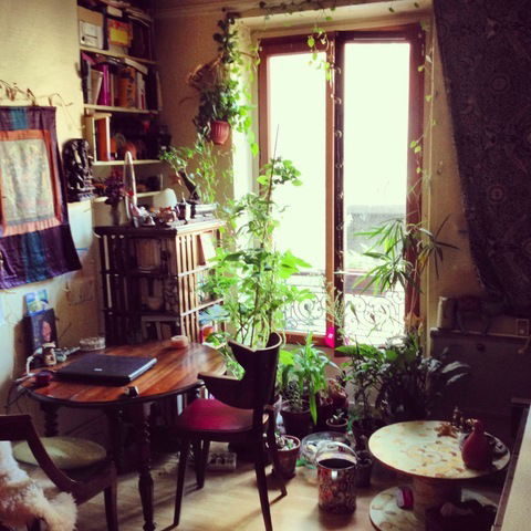 Homestay Paris 53439