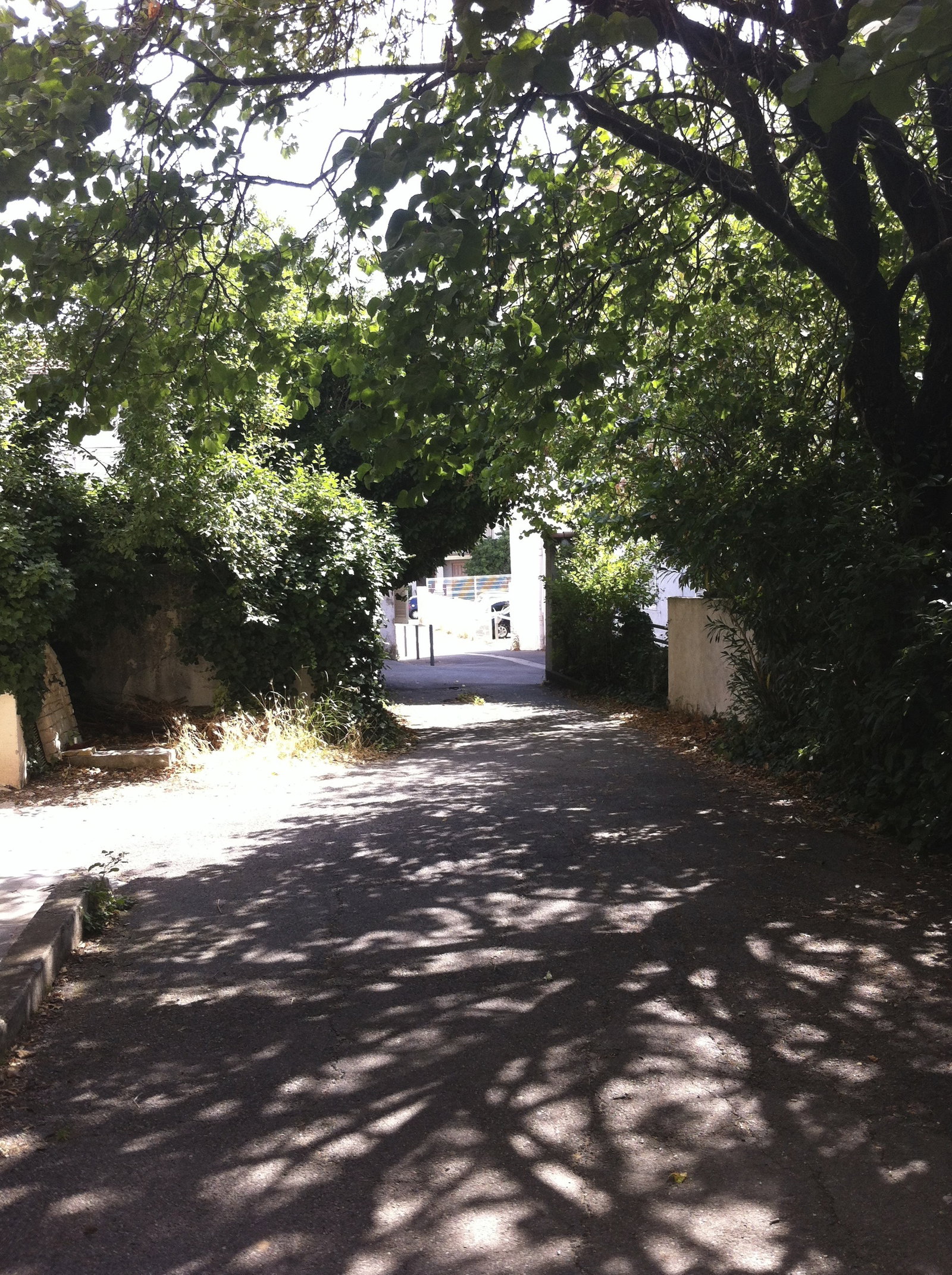 Gaascht Zëmmeren Aix-en-Provence 53446