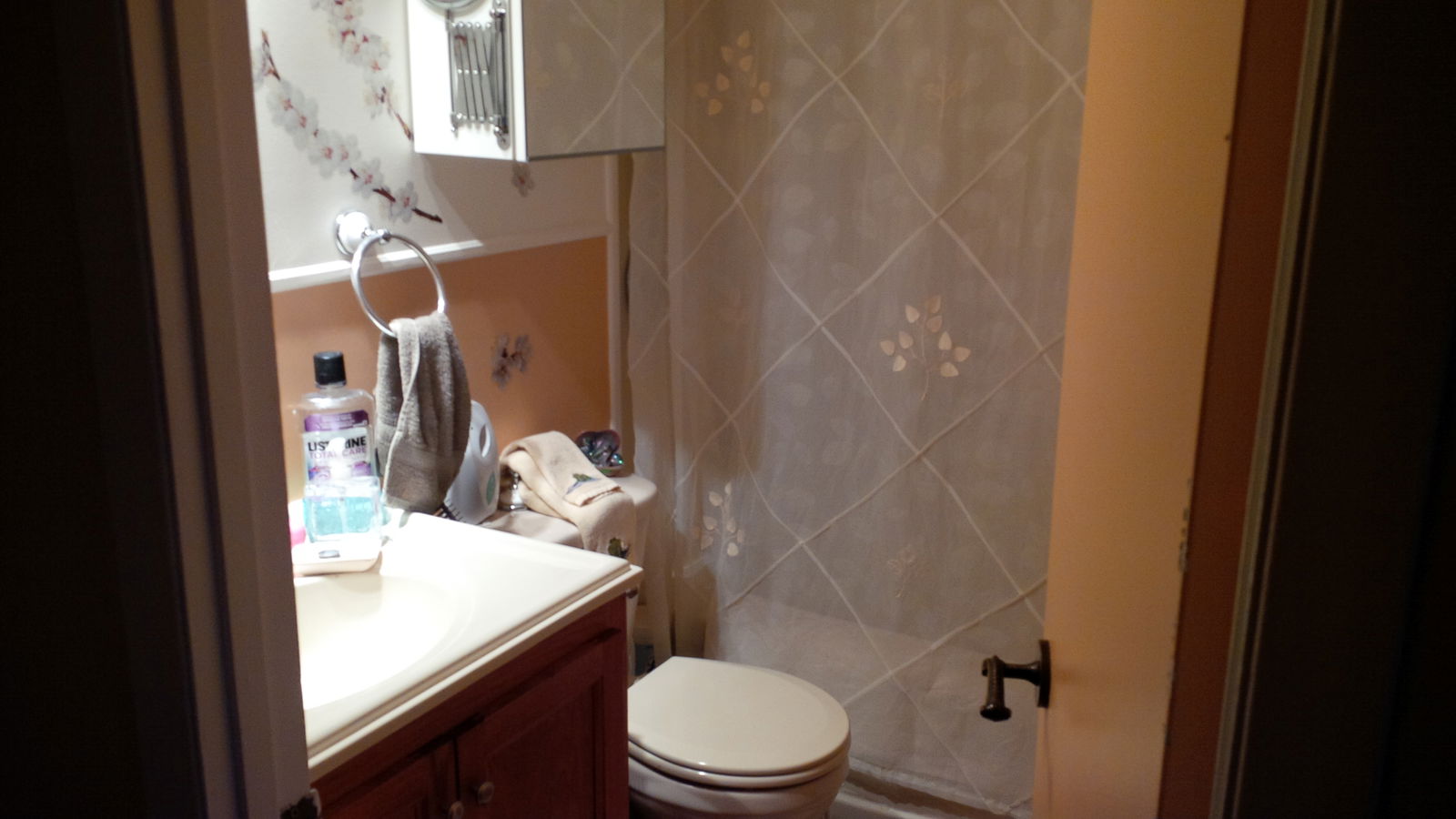 Homestay Longueuil 93233