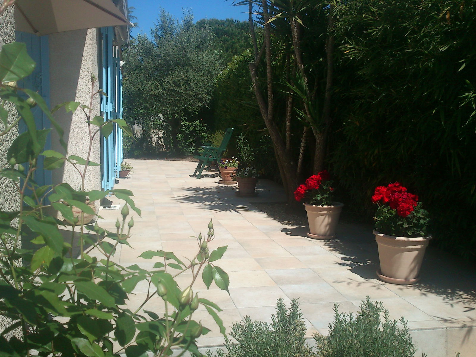 Homestay Bassan 97654