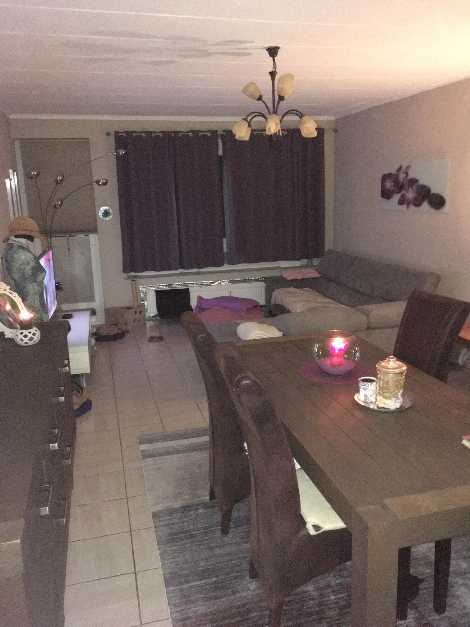 Homestay Bruxelles 247602