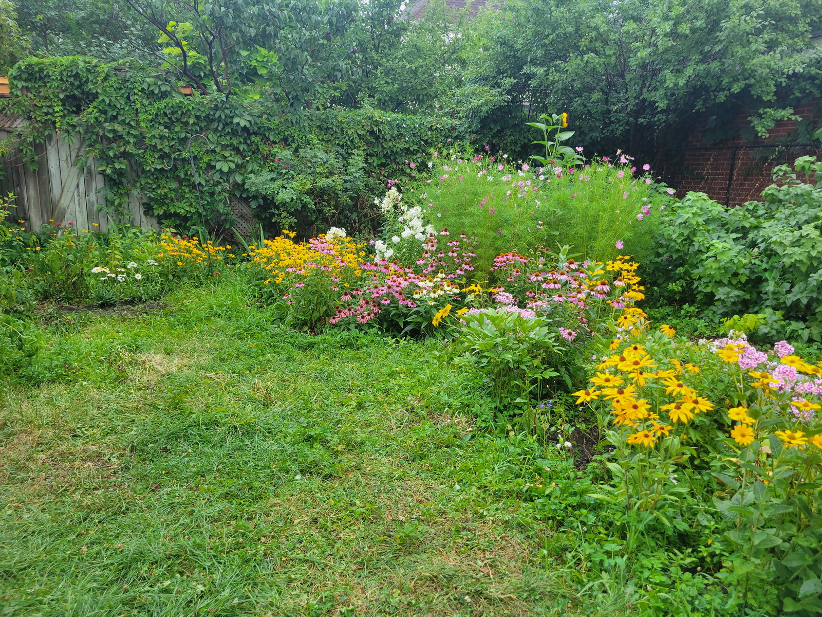 Homestay Gatineau 645806