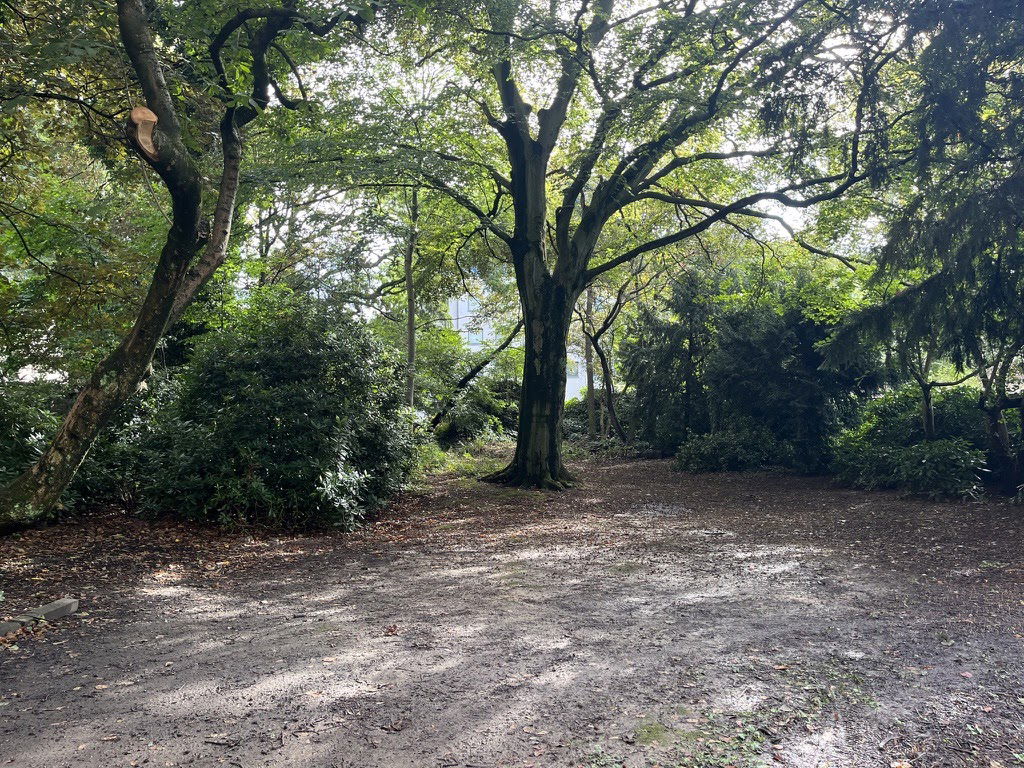 Homestay Forest 473622