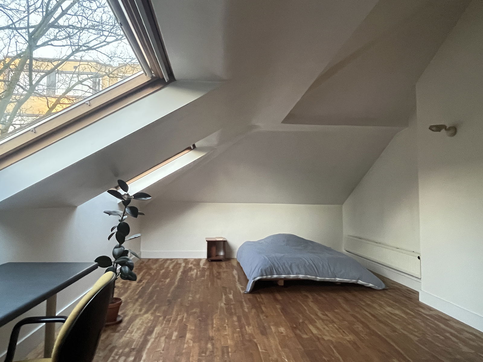Homestay Forest 473622