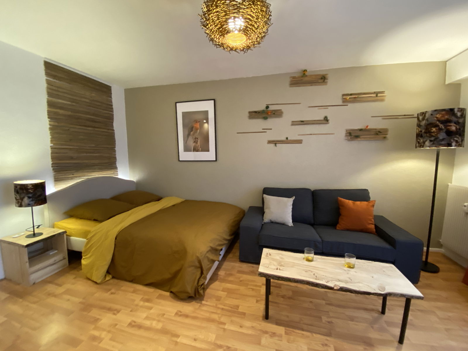 Colocation Strasbourg 515921