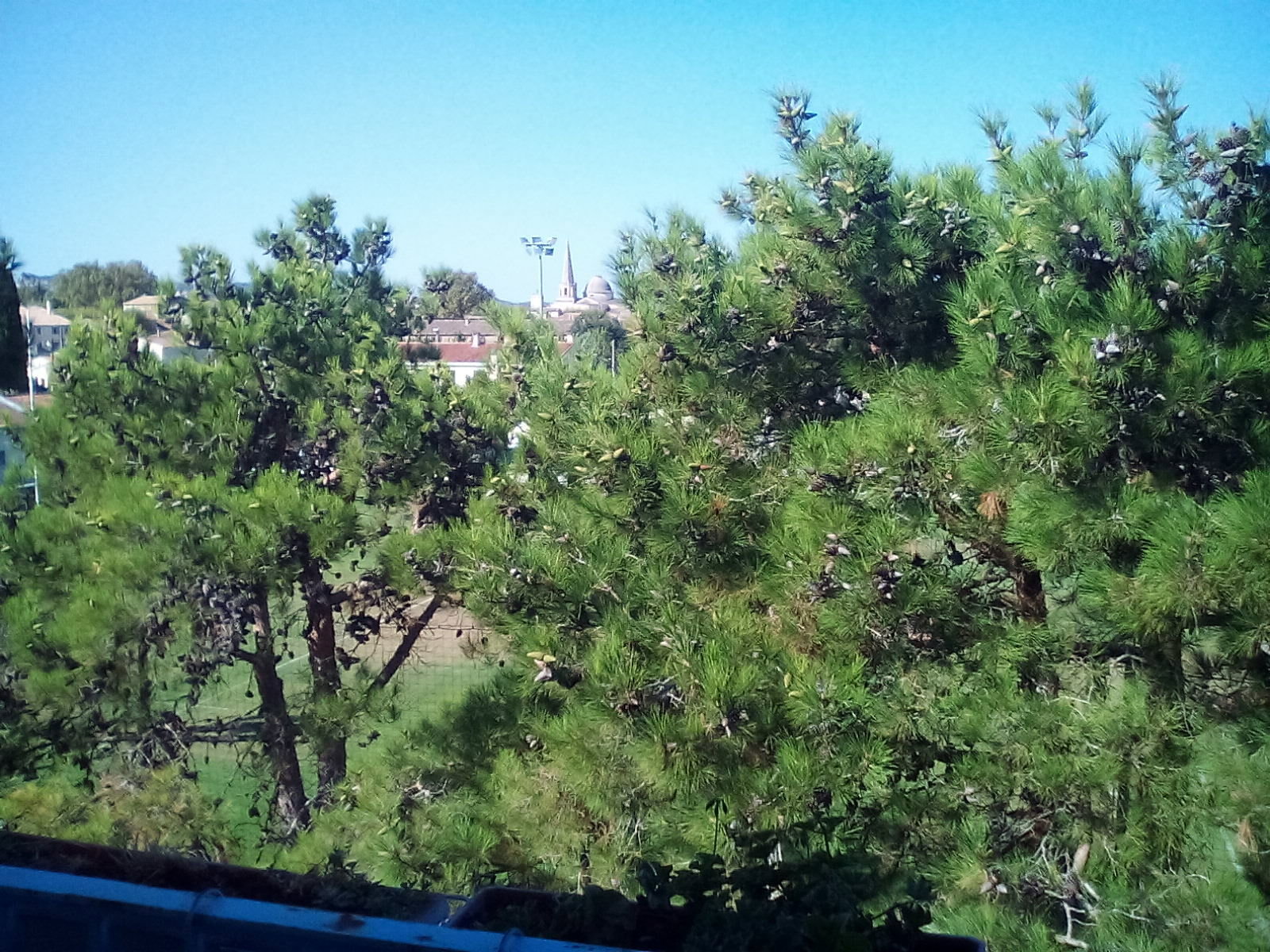 Homestay Saint-Rémy-de-Provence 103862