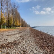 Homestay Préverenges 454624