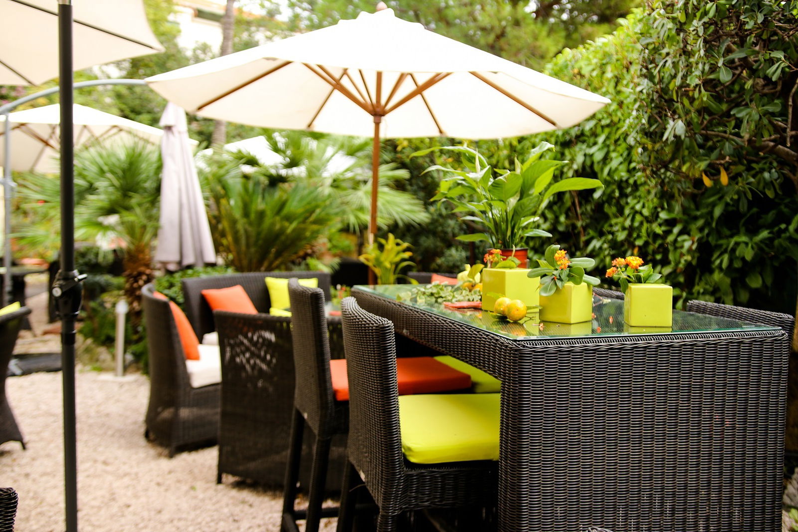 Homestay Cannes 241481