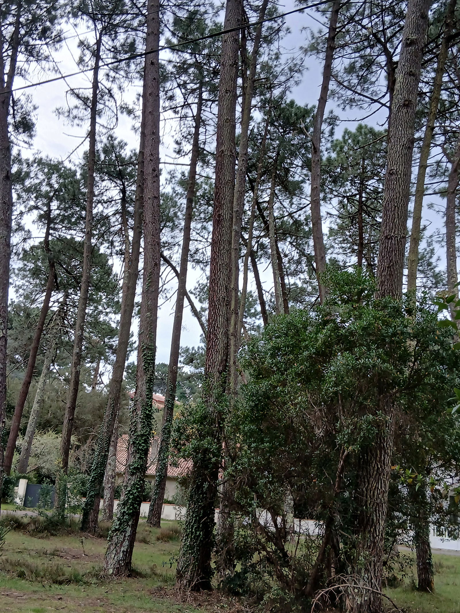 Homestay Soorts-Hossegor 492435
