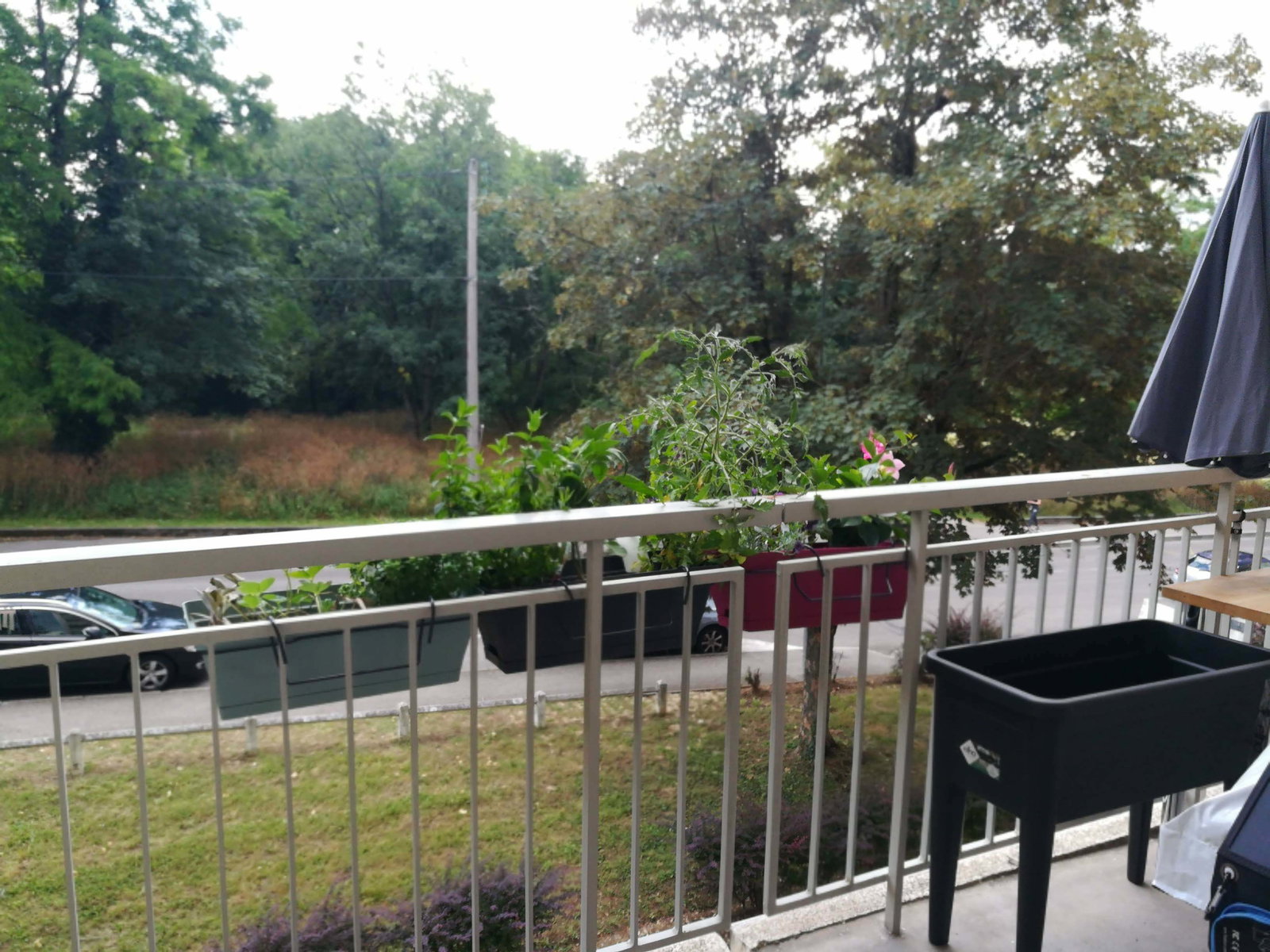 Homestay Sainte-Foy-lès-Lyon 227845