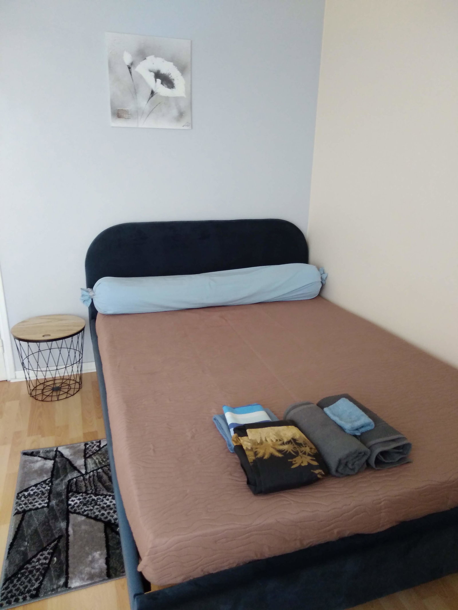 Colocation Toulouse 559548