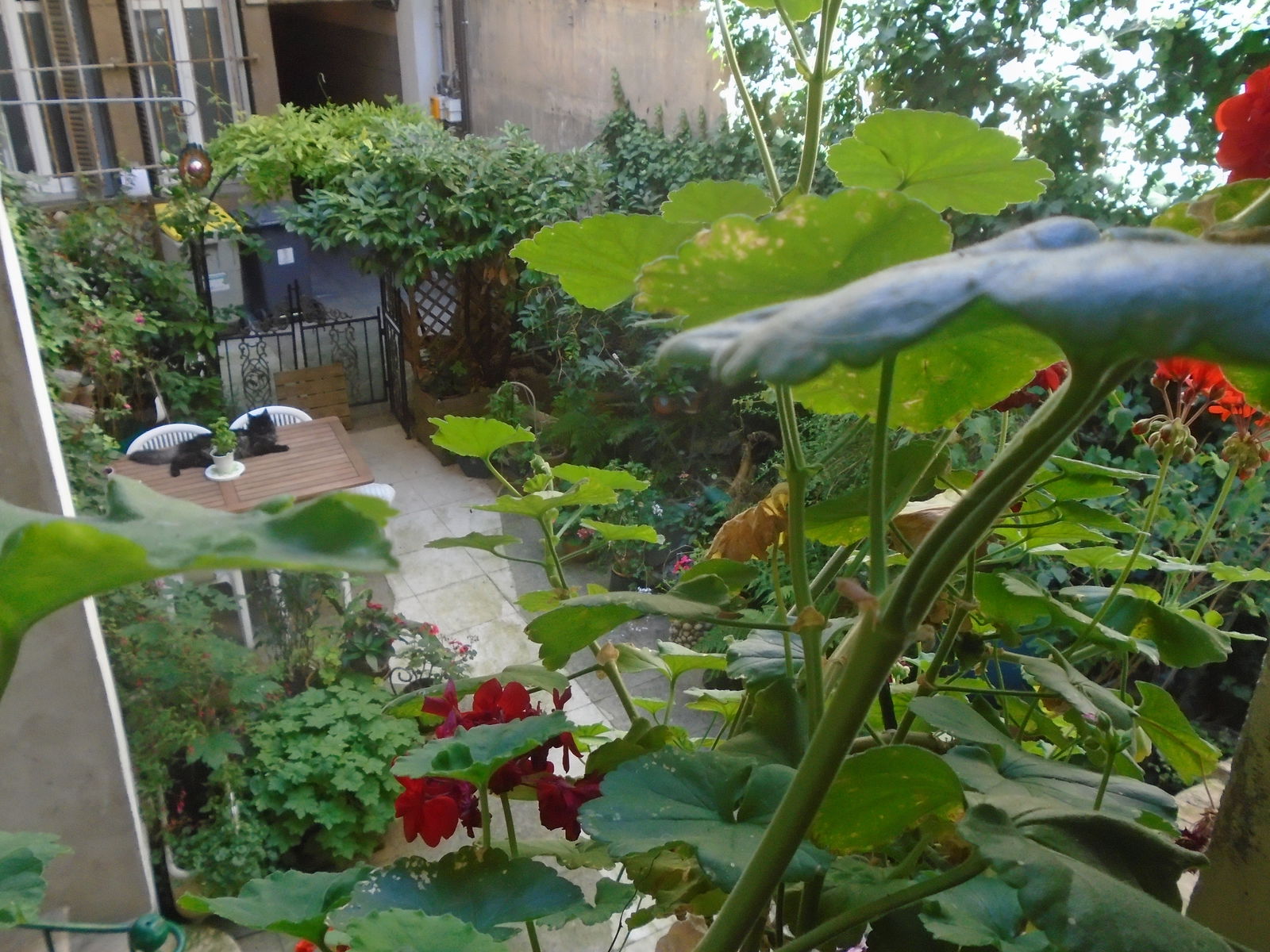 Homestay Dijon 239569