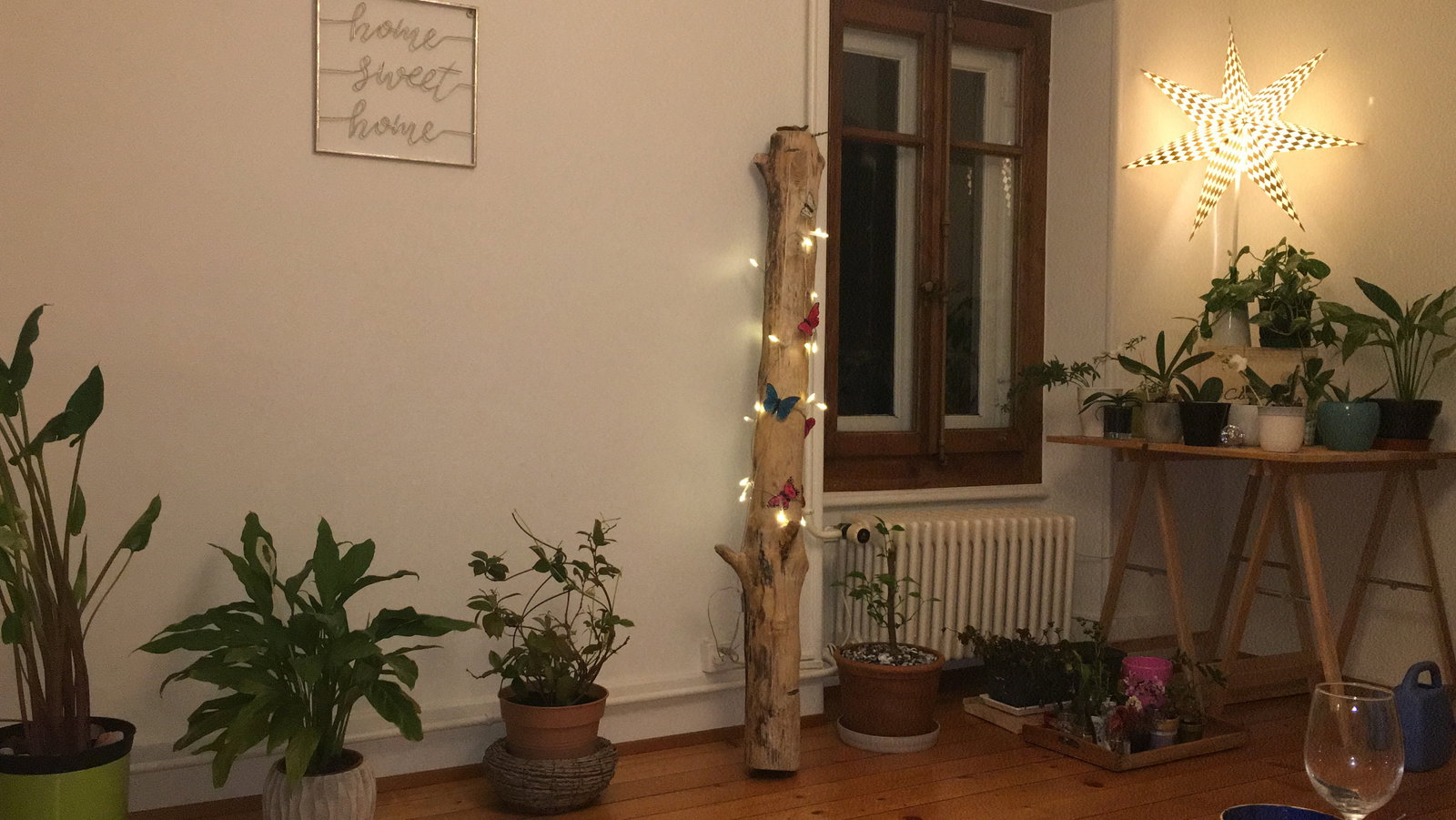 Colocation Morges 250873