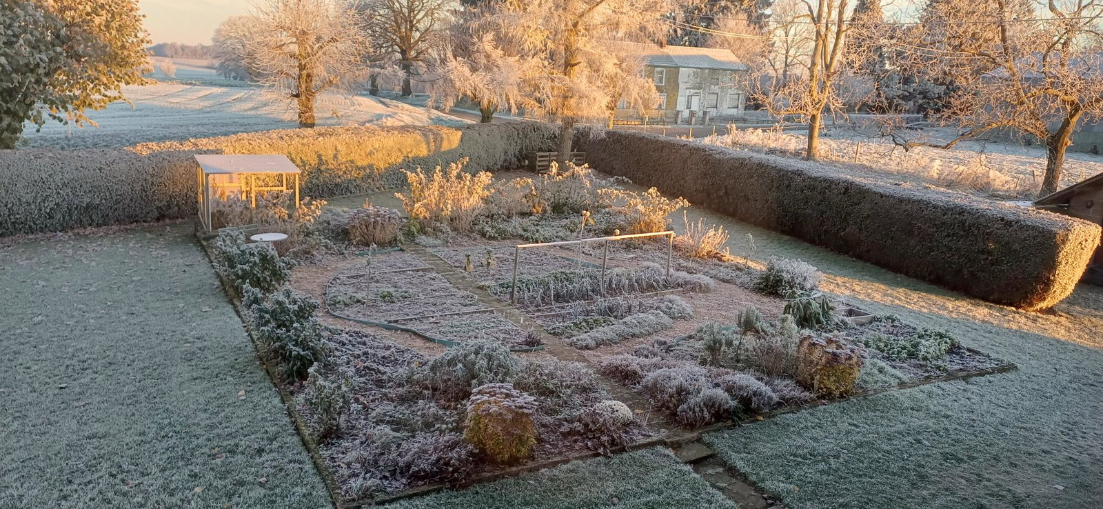 Homestay Ouffet 540623