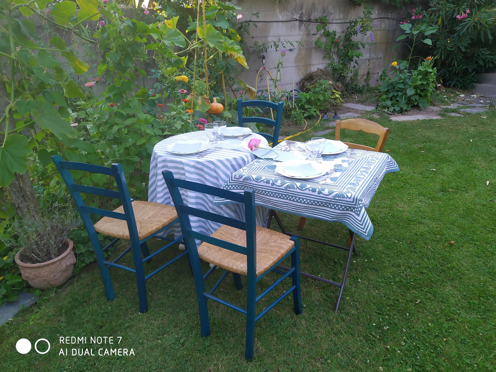 Homestay Angers 250691