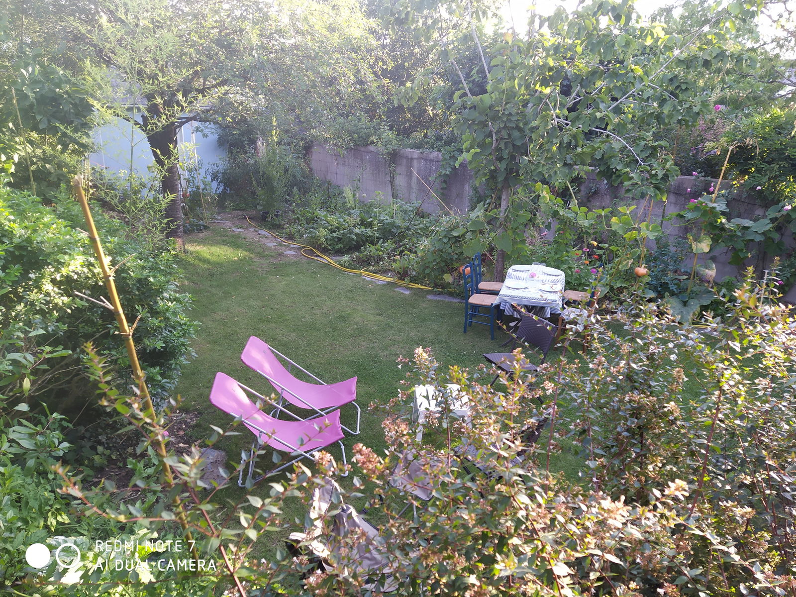 Homestay Angers 250691