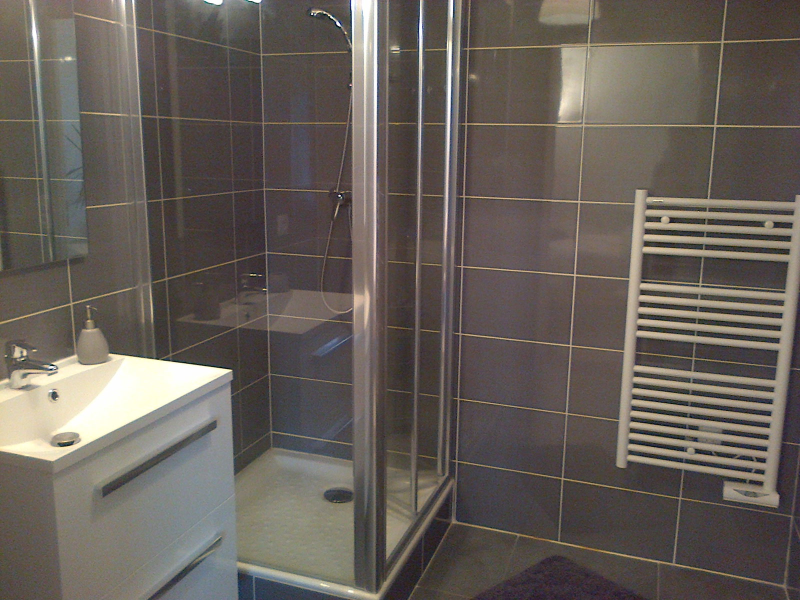 Homestay Annecy 61273