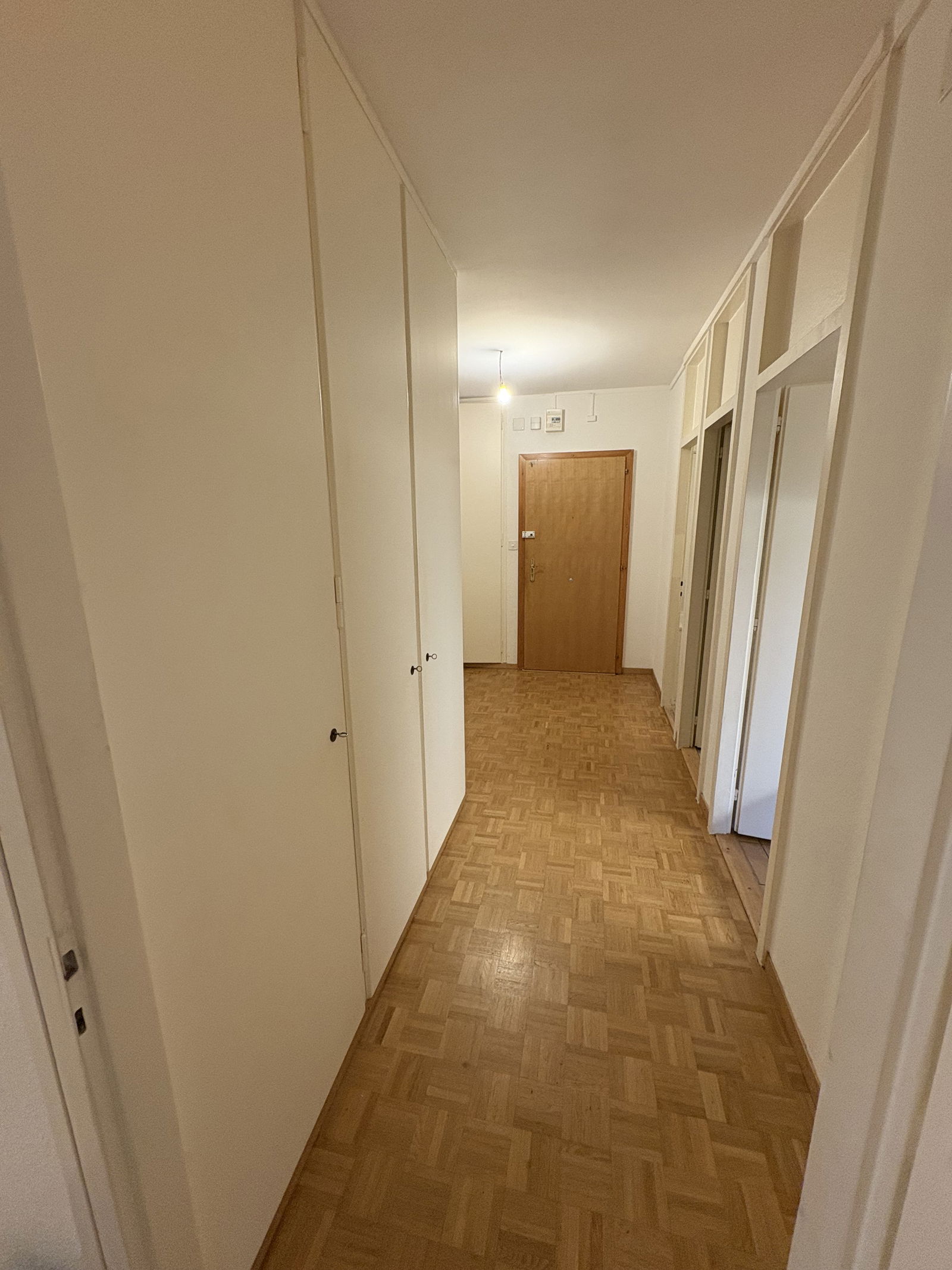 Colocation Vernier 630584