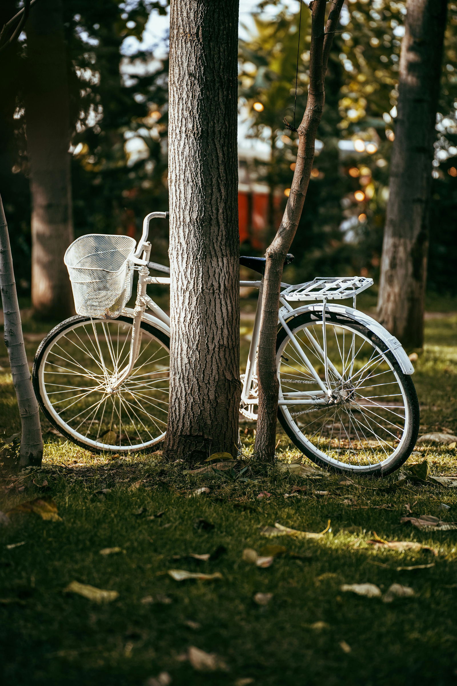 Homestay Cébazan 622274