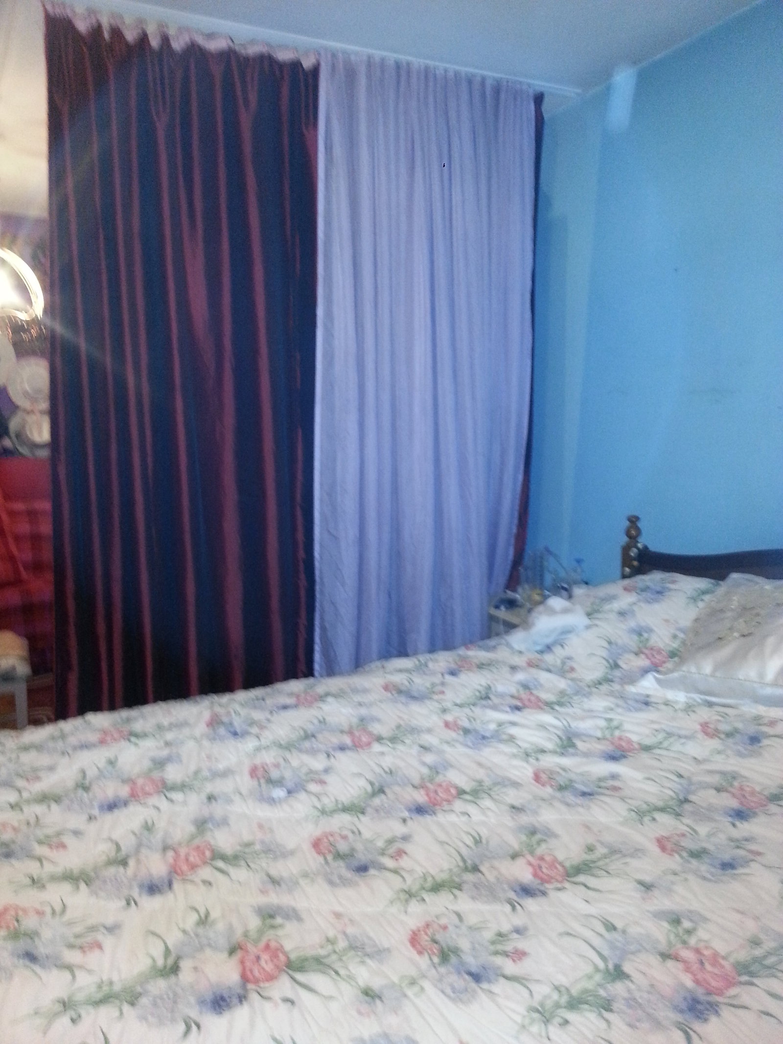 Homestay Carouge 432122