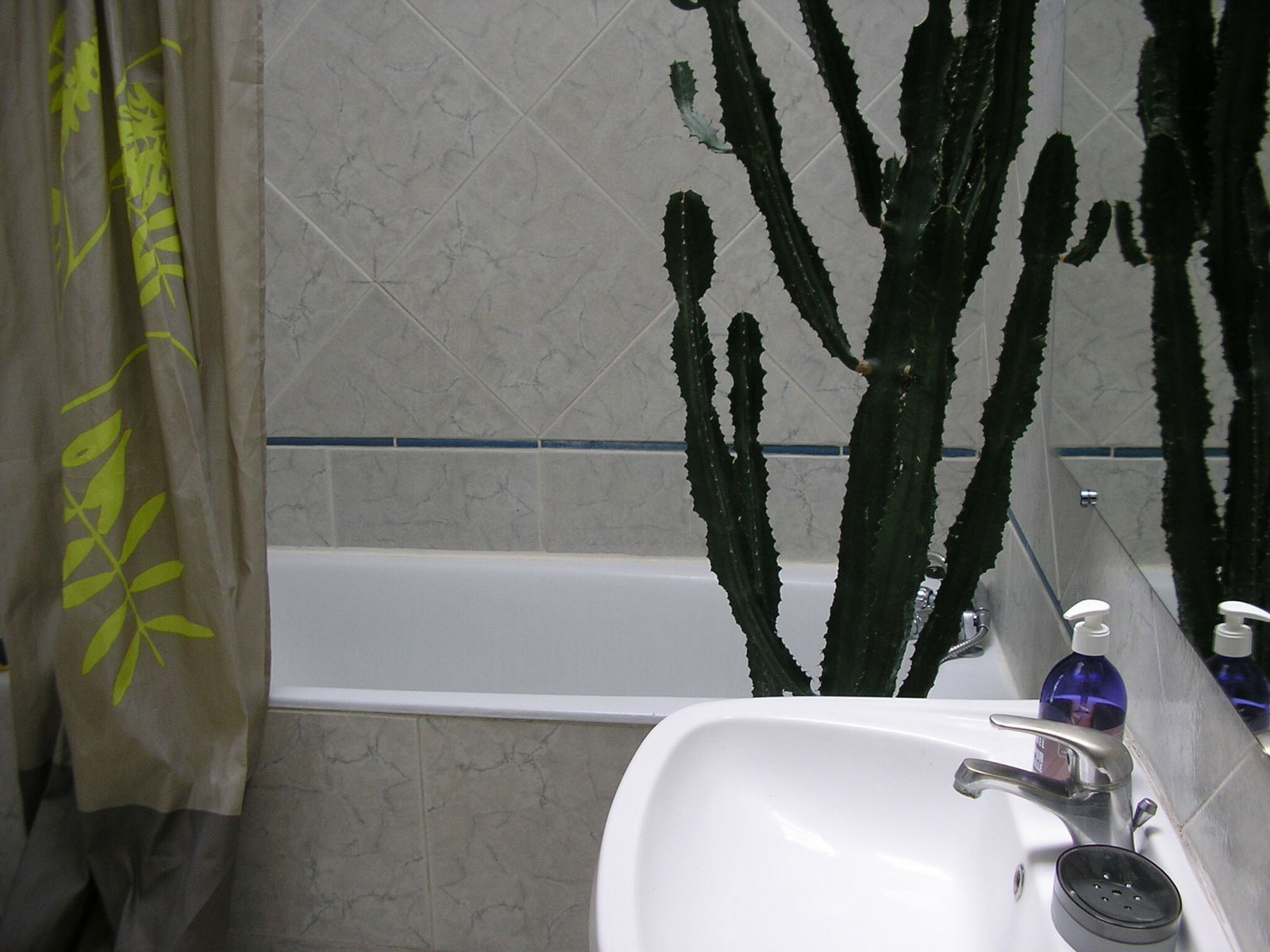 Homestay Nîmes 89563