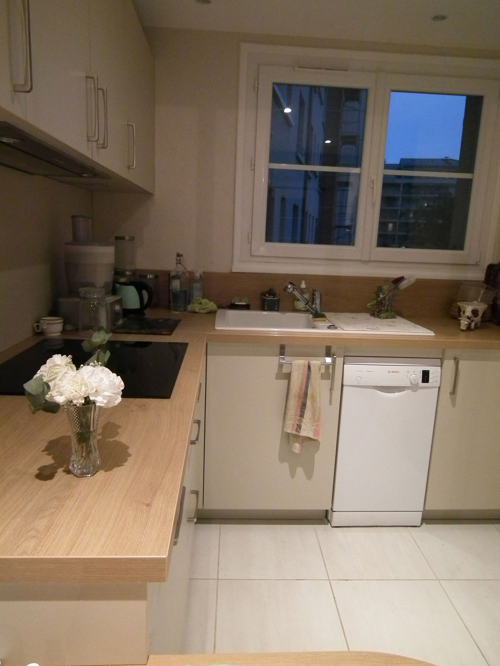 Homestay Lyon 222183