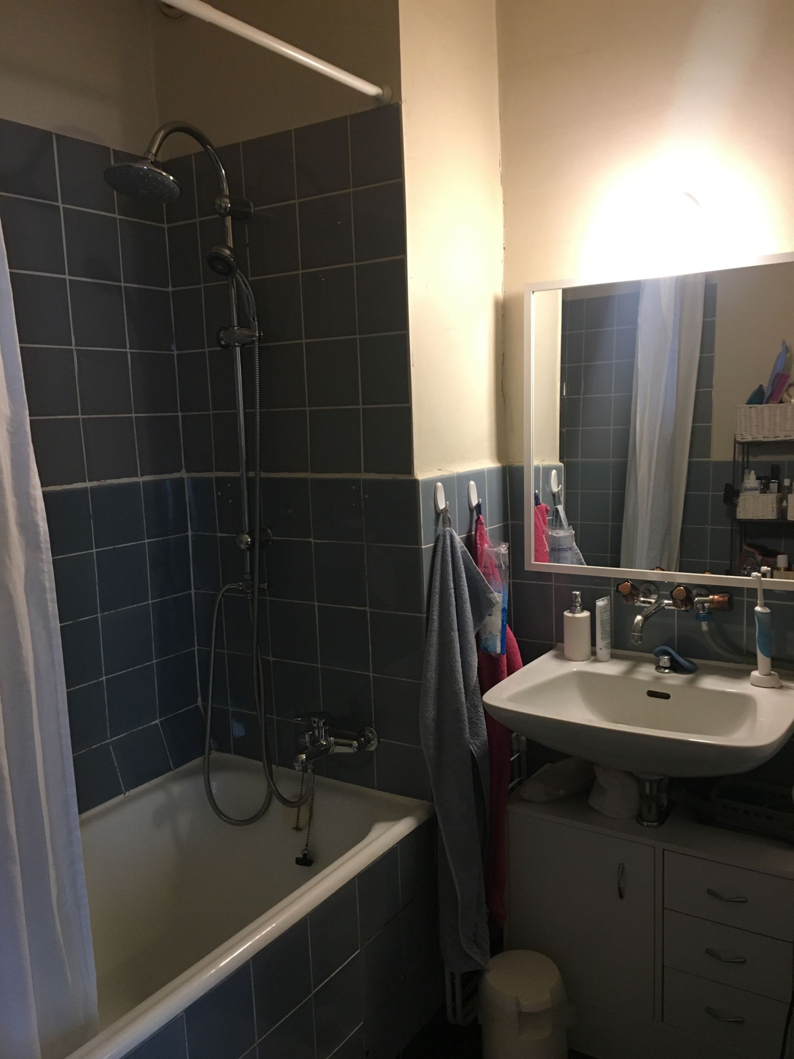 Homestay Meyrin 246237