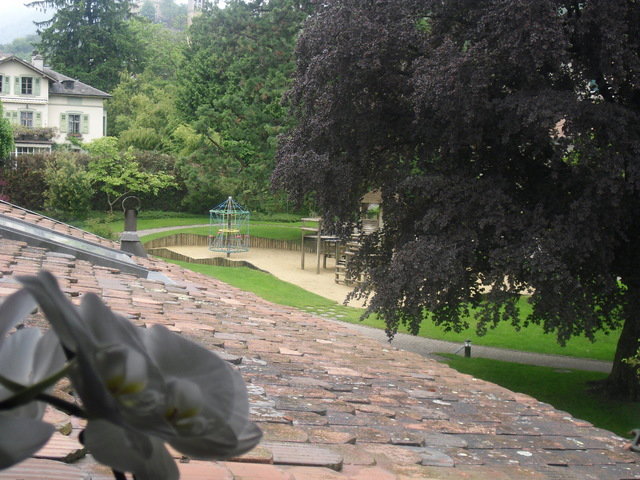 Homestay Montreux 49724