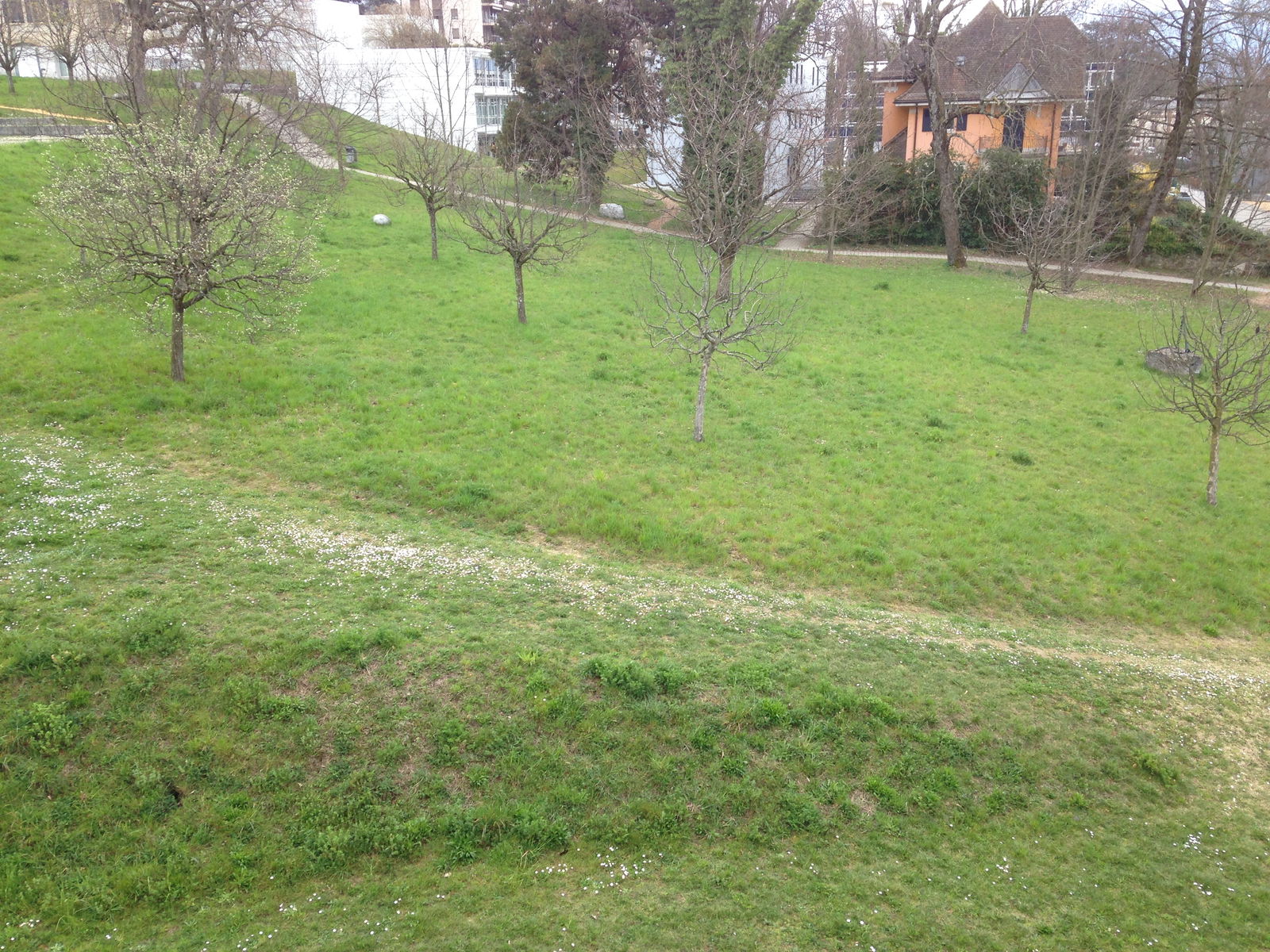 Colocation Lausanne 129884