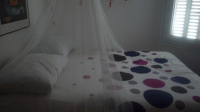 Homestay Paris 4710