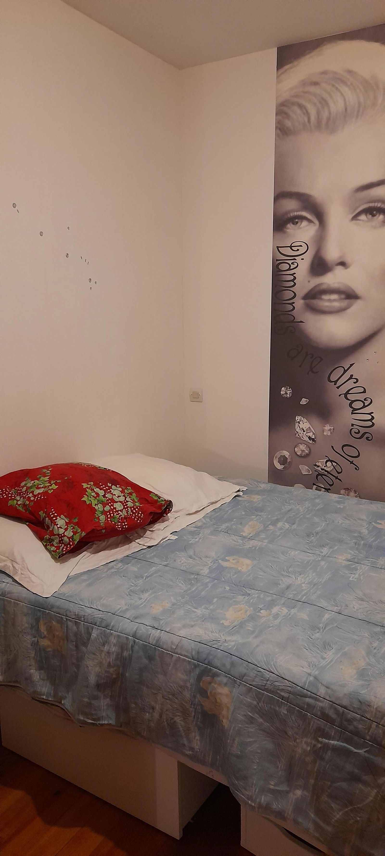 Homestay Rillieux-la-Pape 521399