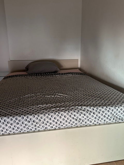 Colocation Lyon 595566