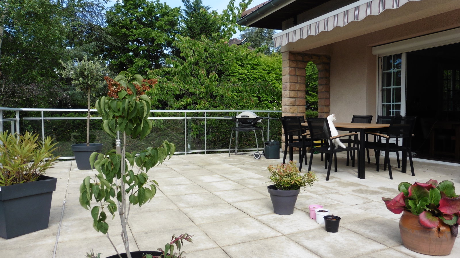 Homestay Charbonnières-les-Bains 662732