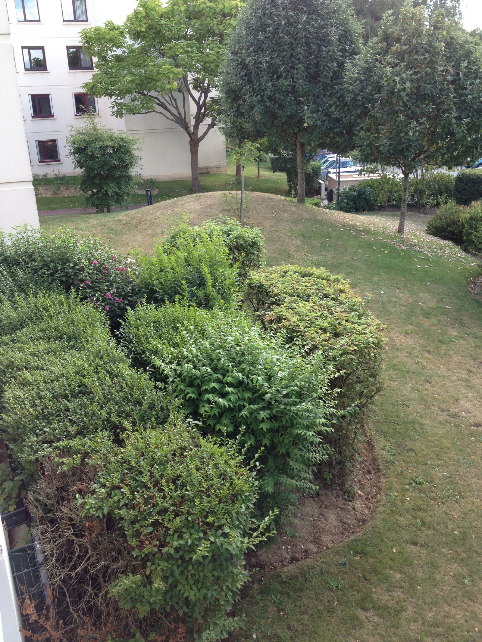 Homestay Montigny-le-Bretonneux 364056