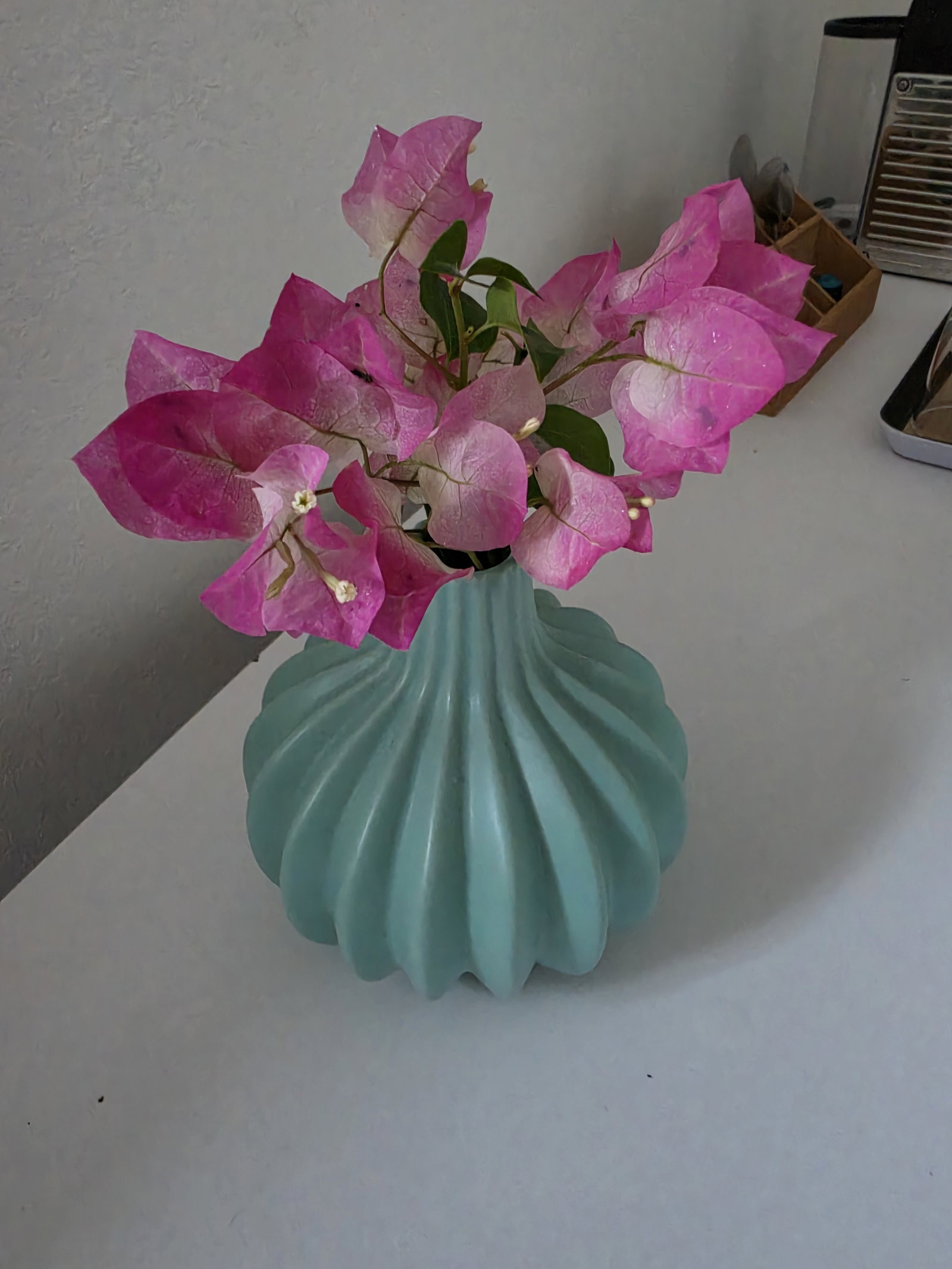 Homestay Petit-Bourg 662411