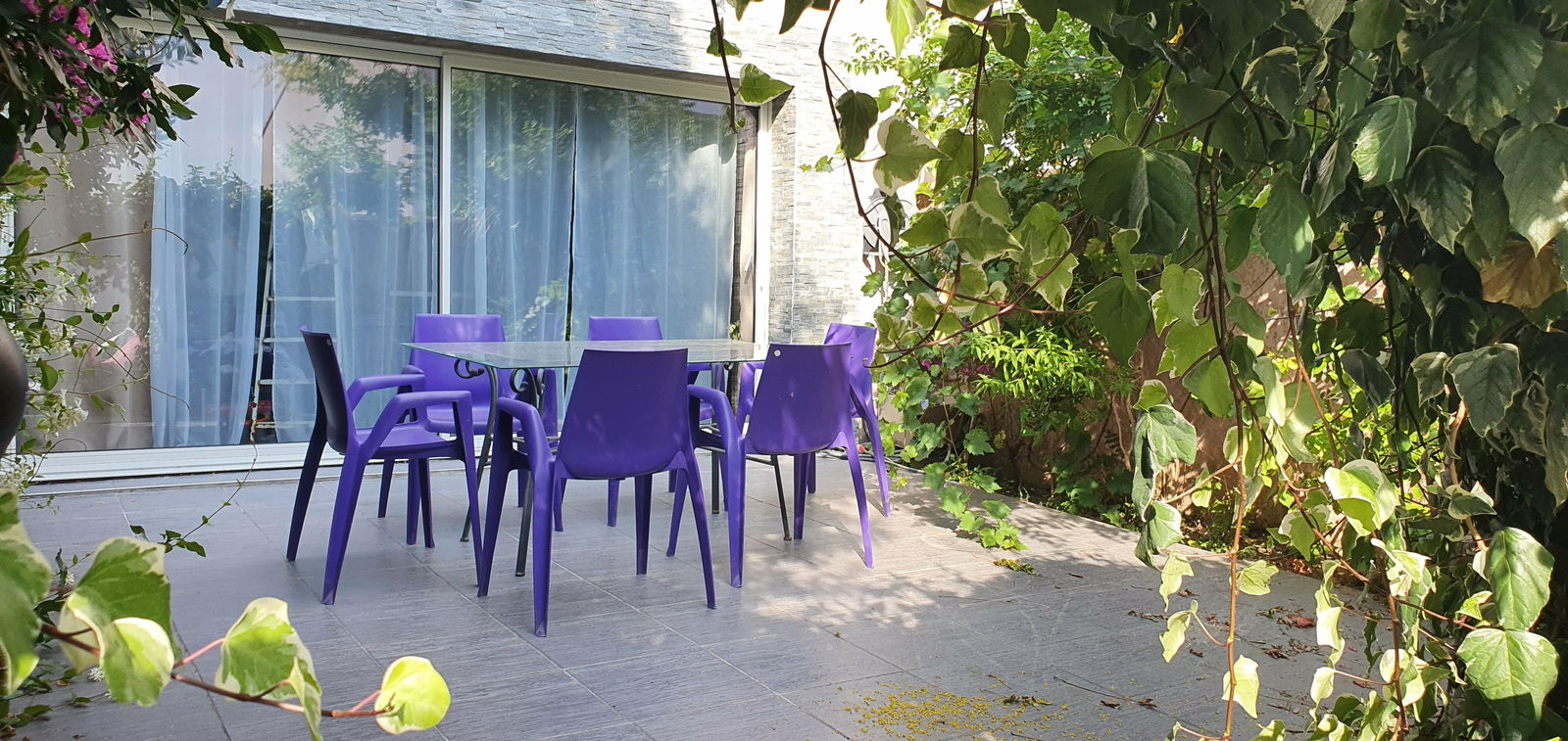 Homestay Montpellier 241213