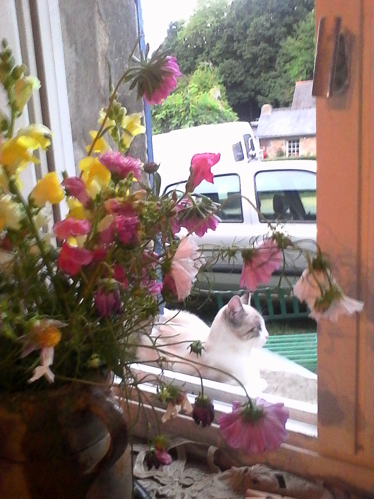 Homestay Le Faouët 11988