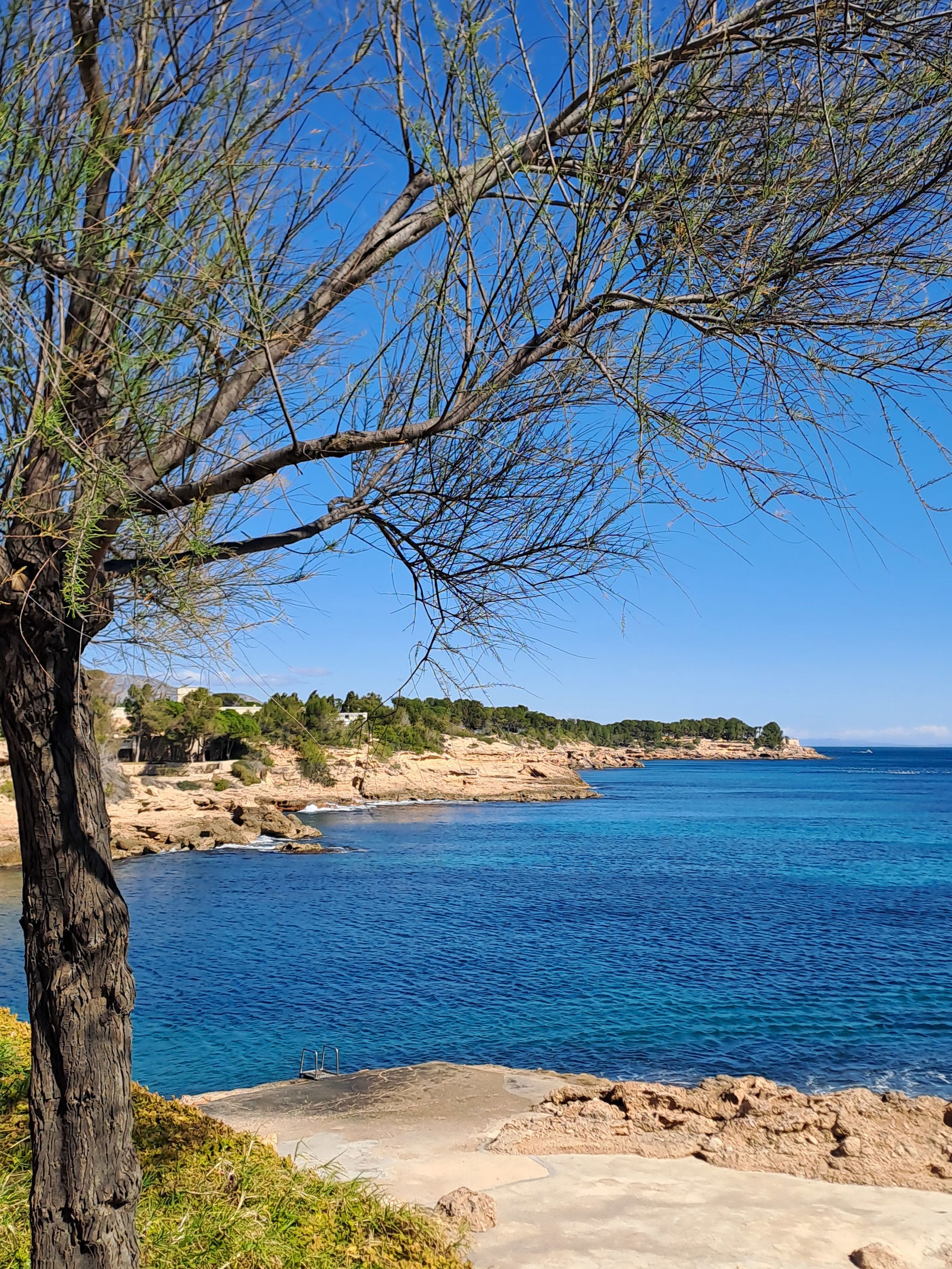 Homestay Mont-roig del Camp 640785