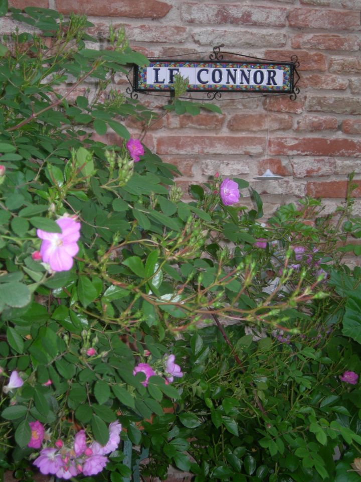 Homestay Ramonville-Saint-Agne 424685