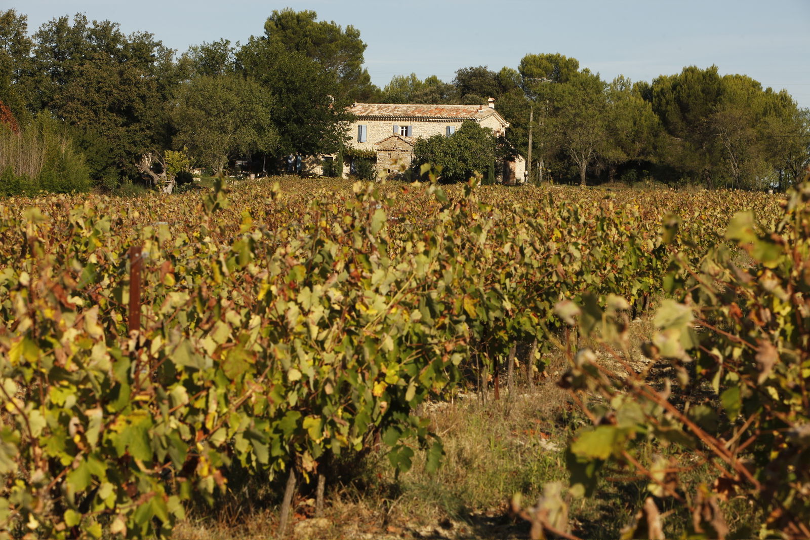 Bed And Breakfast Aigremont 90126