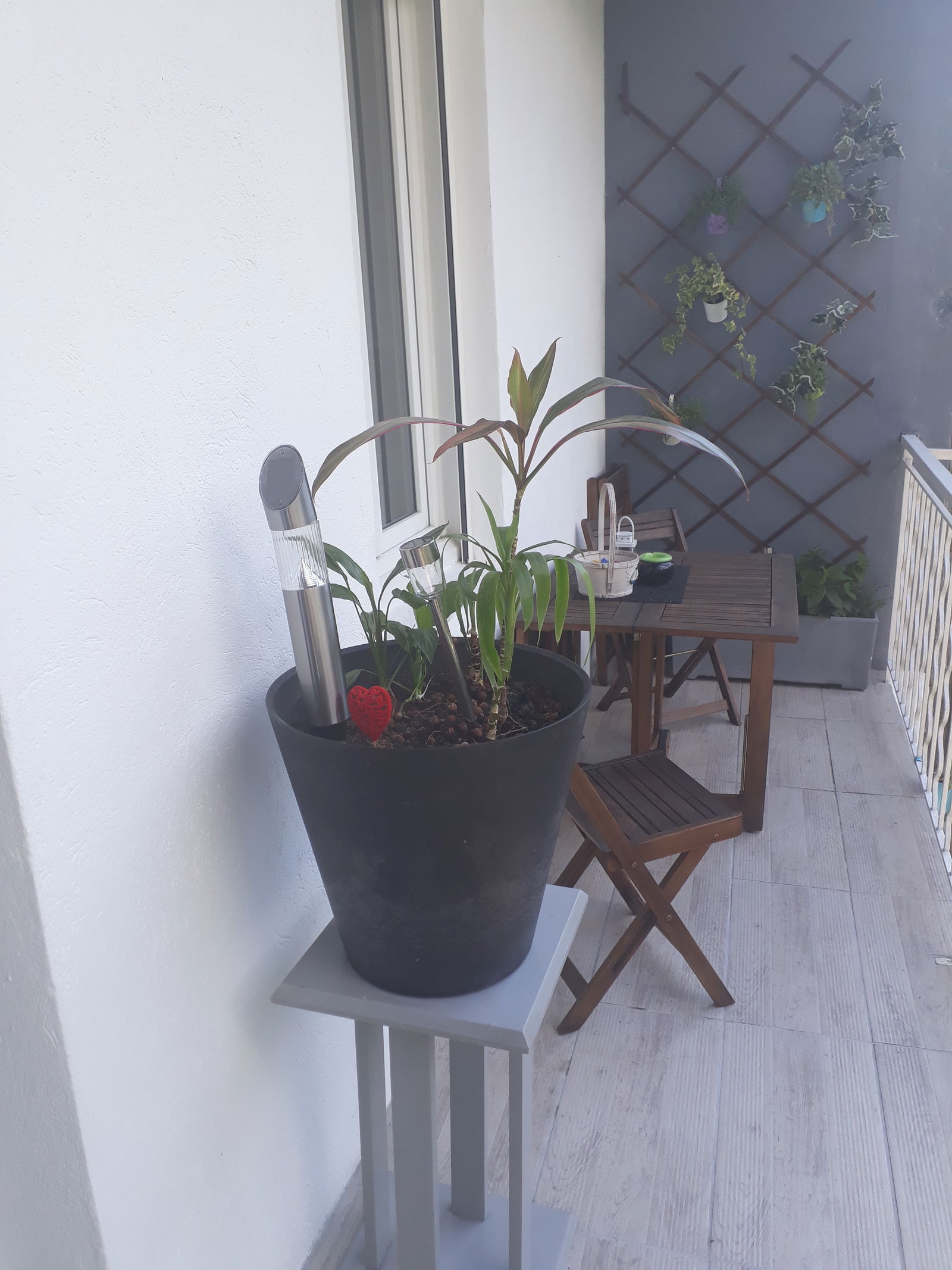 Homestay La Chavanne 156473