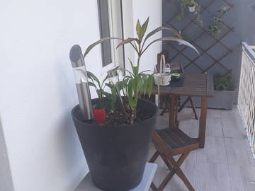 Chambre Chez L'habitant La Chavanne 156473-10