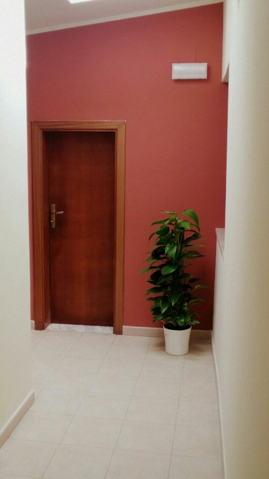Independent Studio Campolattaro 195807