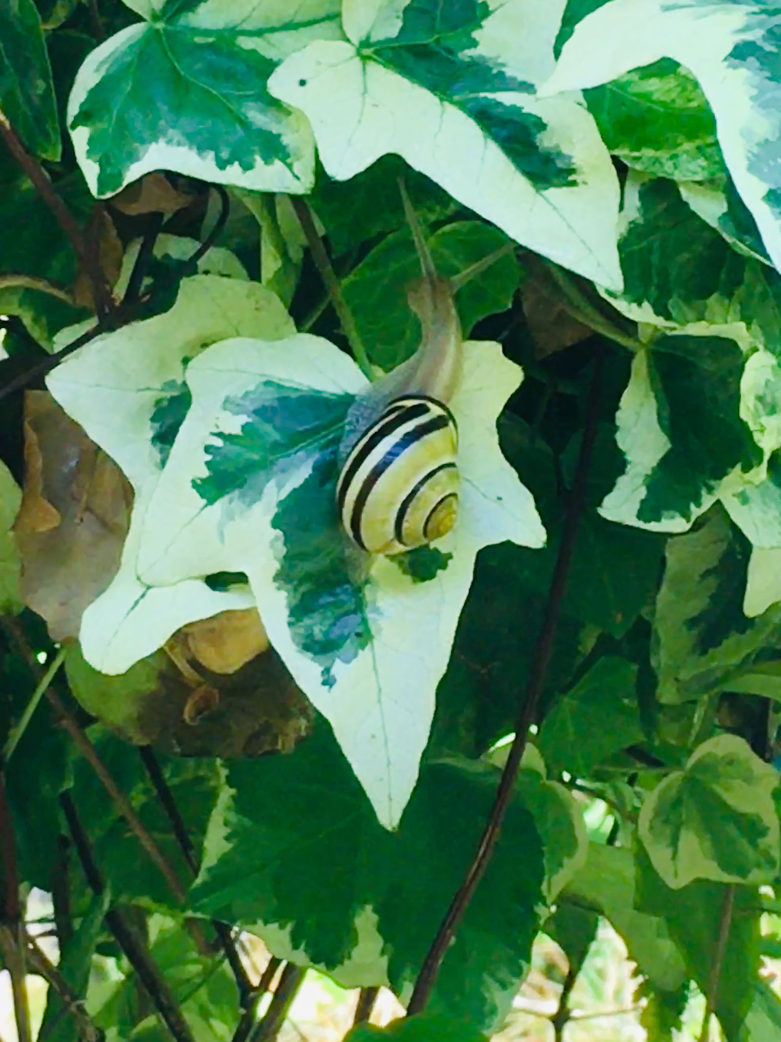 Zakwaterowanie U Rodziny MG 230662