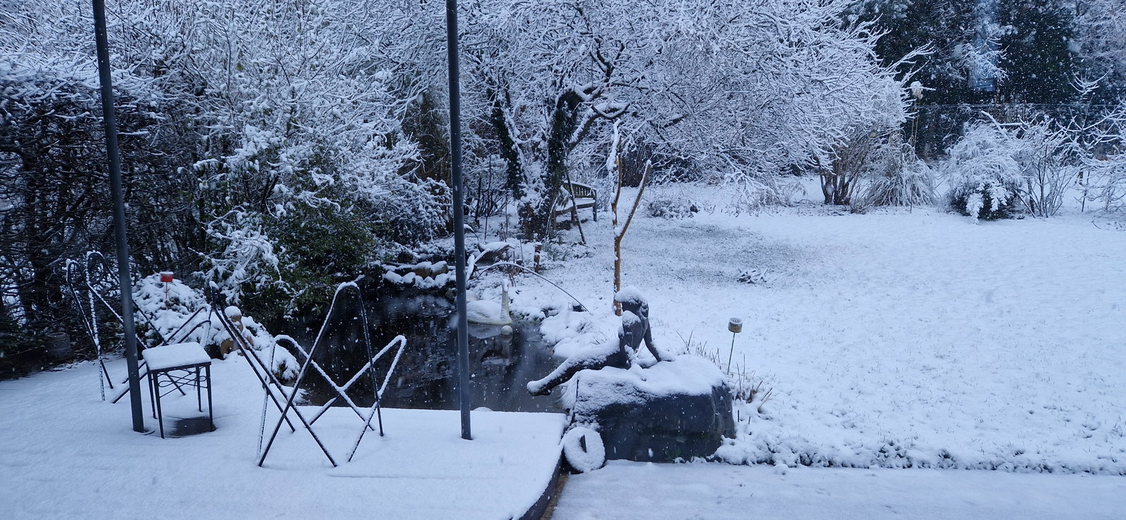 Kolokacja Incourt 161263